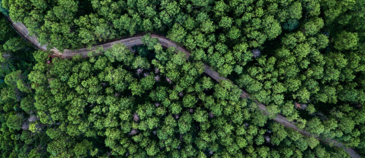 sustainable travel